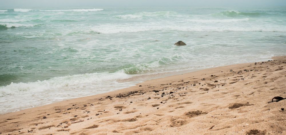 por que vivir punta hermosa